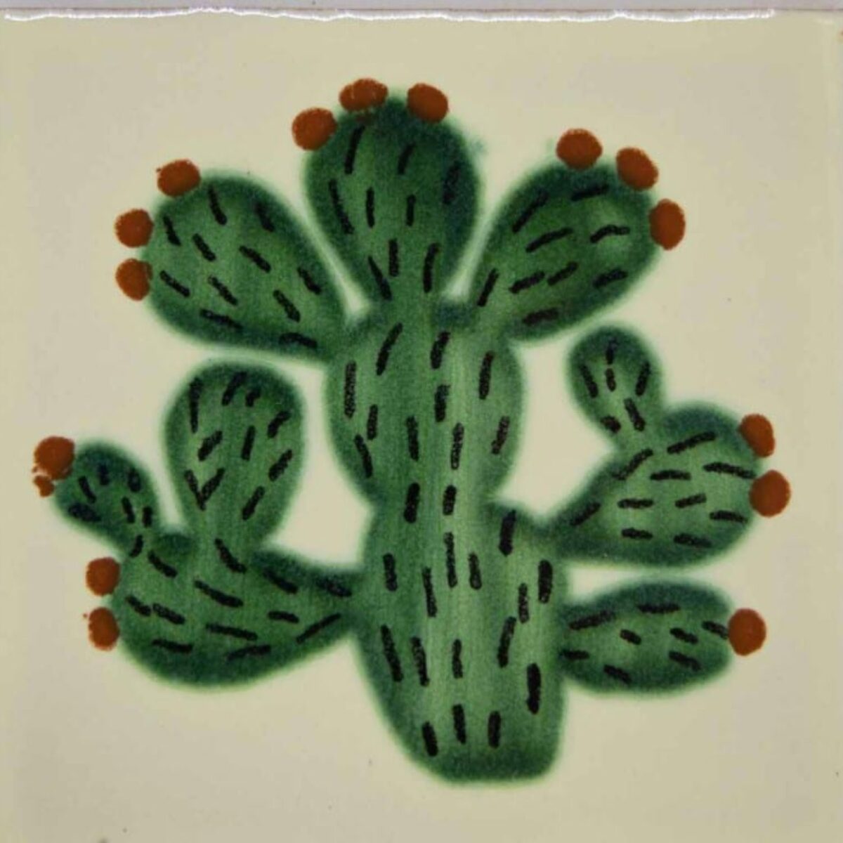 Carrelage mexicain Colibri Azulejos - CACTUS