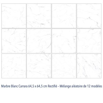 Carrelage marbre blanc Carrara Diffusion Céramique grand format 66x66cm