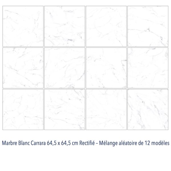 Carrelage marbre blanc Carrara Diffusion Céramique grand format 66x66cm